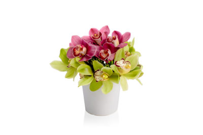 Rachel Cho Flowers | Floral Designer | orchids