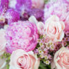 Peony Princess - Image 2