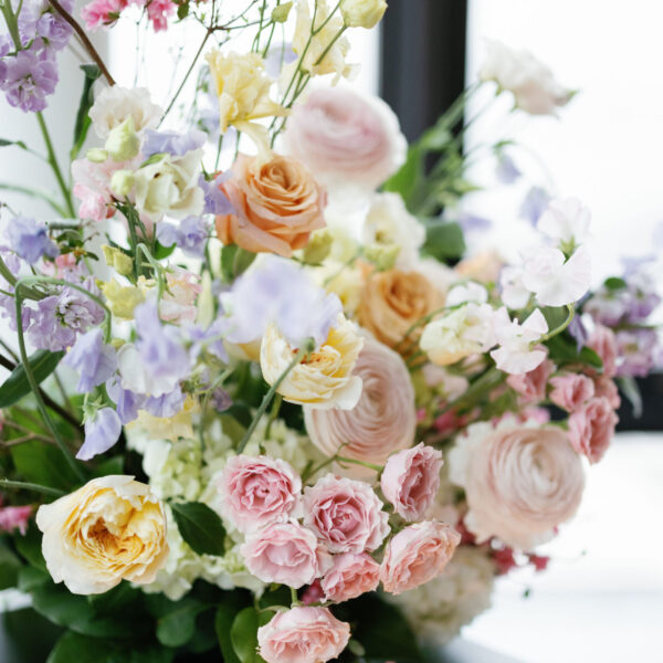 Designer's Choice - Pastel