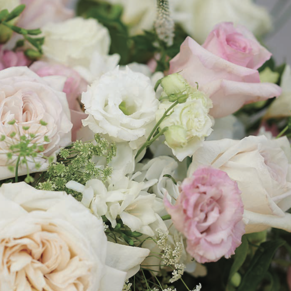 Designer's Choice-Pastel