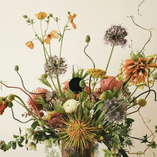 Designer's Choice-Wildcard